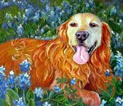 Golden Retriever Portrait