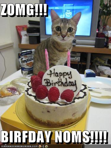 happy birthday funny cat. Happy Birthday