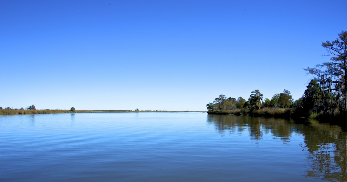 The Flight Continues... The Altamaha River