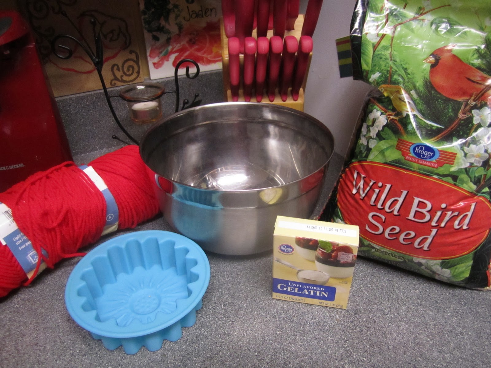 Living My Life On Purpose Bird Seed Cakes