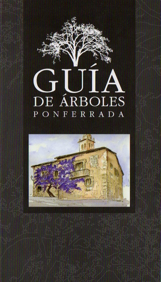 hoy encontre una flor rulo