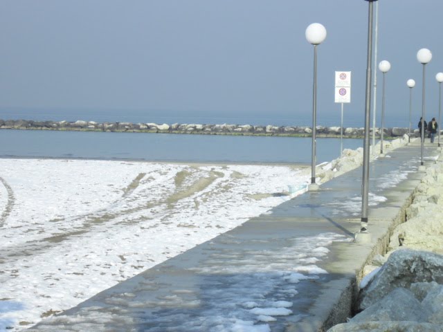 [CIMG0153.JPG]
