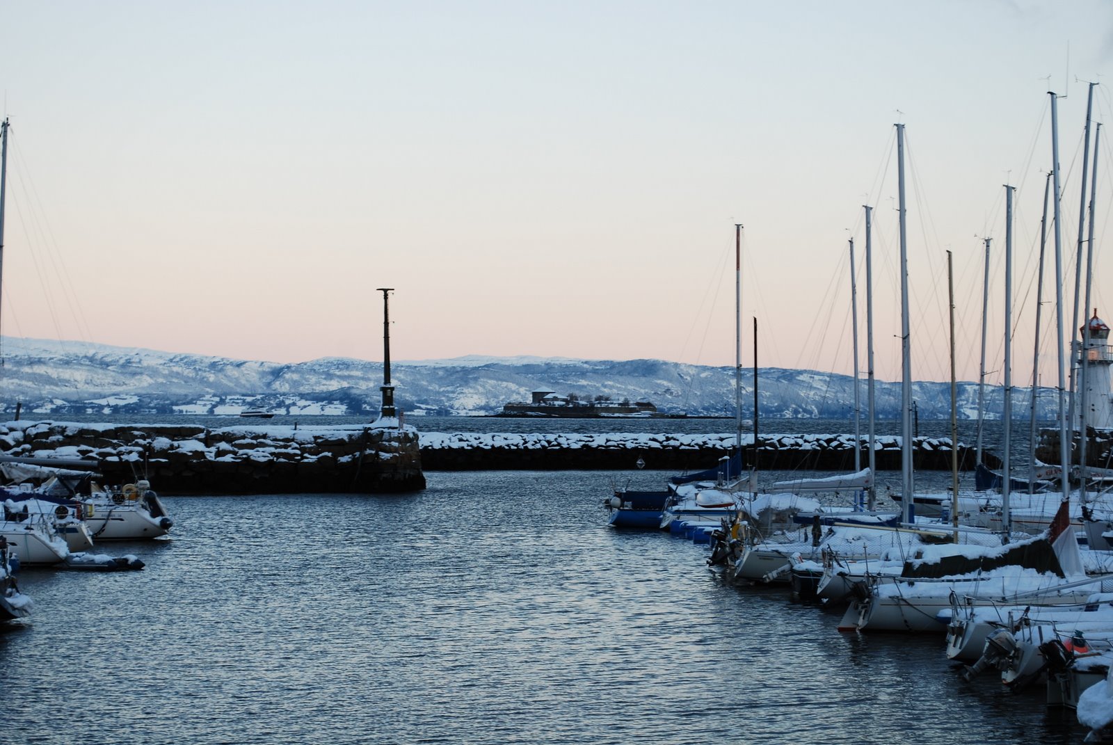 [DSC_0045.JPG]