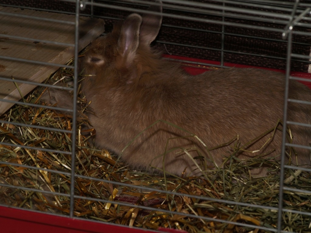 [P2010029.JPG]