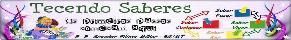 Tecendo Saberes