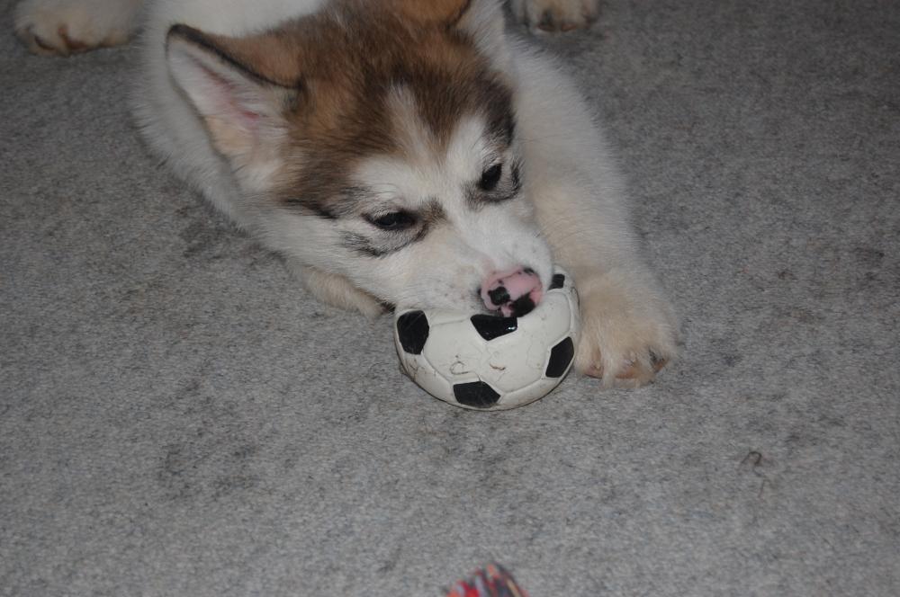 [something+in+my+teeth.jpeg]