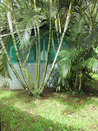 mi escuela en jardin botanical