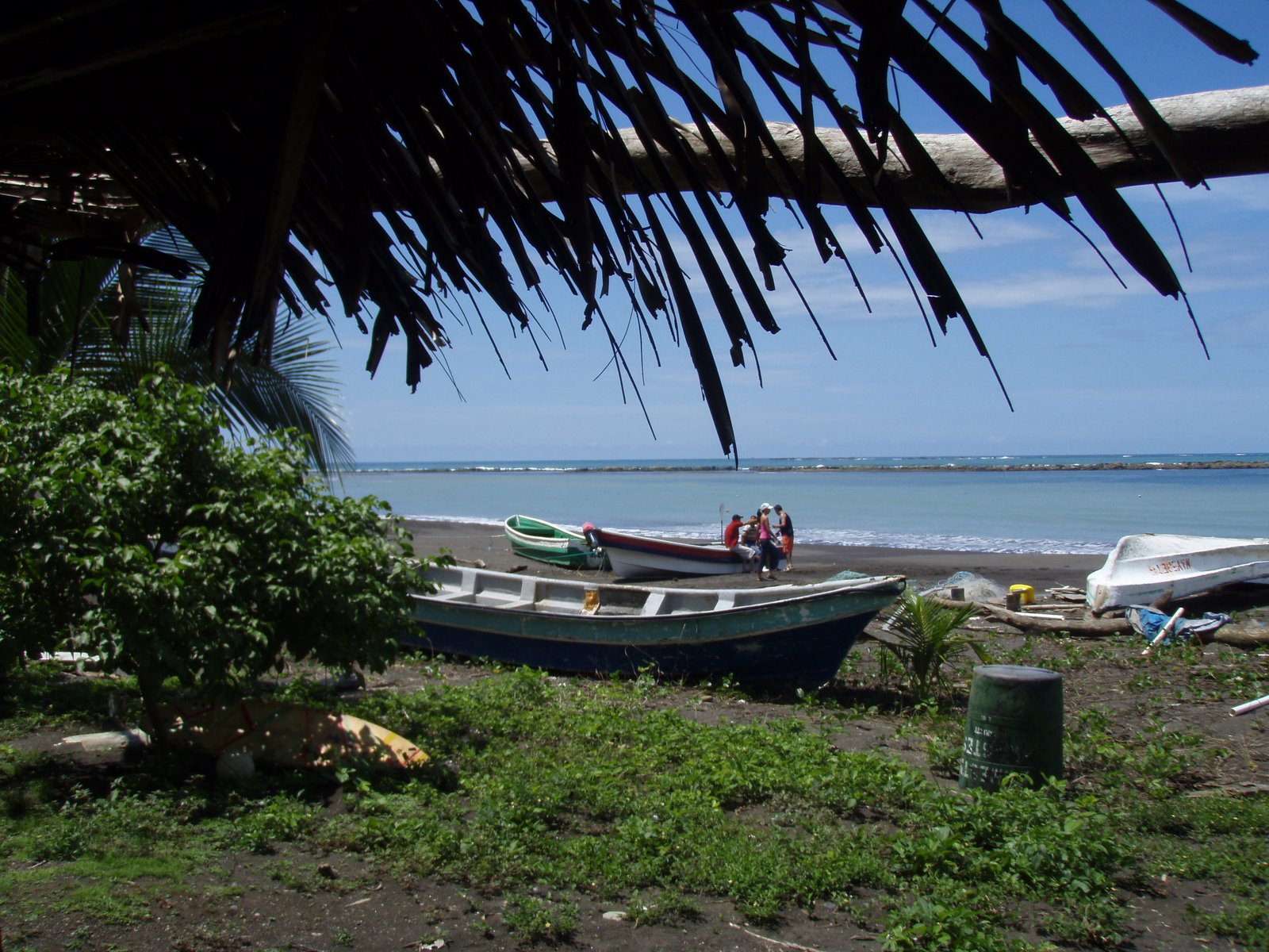 [P7280683.JPG]