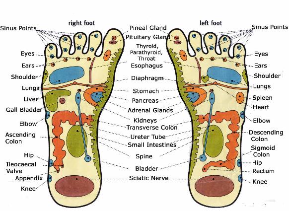 method Foot