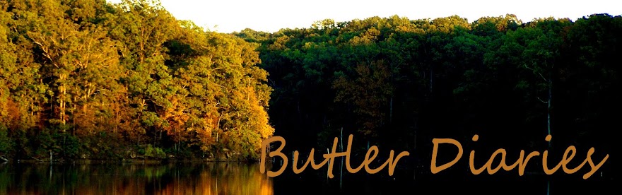 Butler Family Diaries