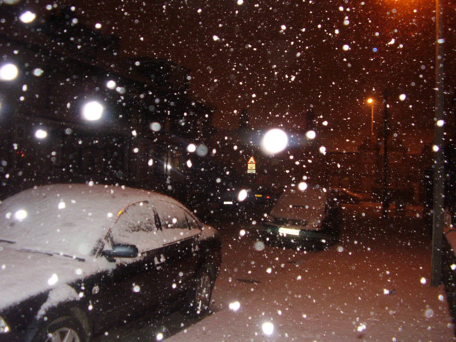 [P2010036.JPG]