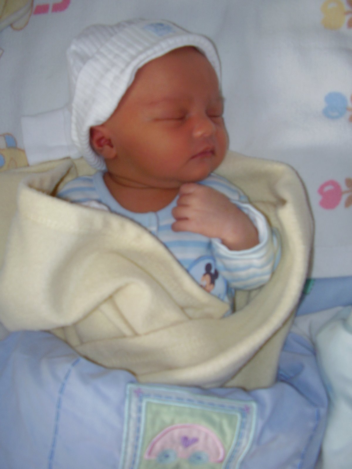 [P2200010.JPG]