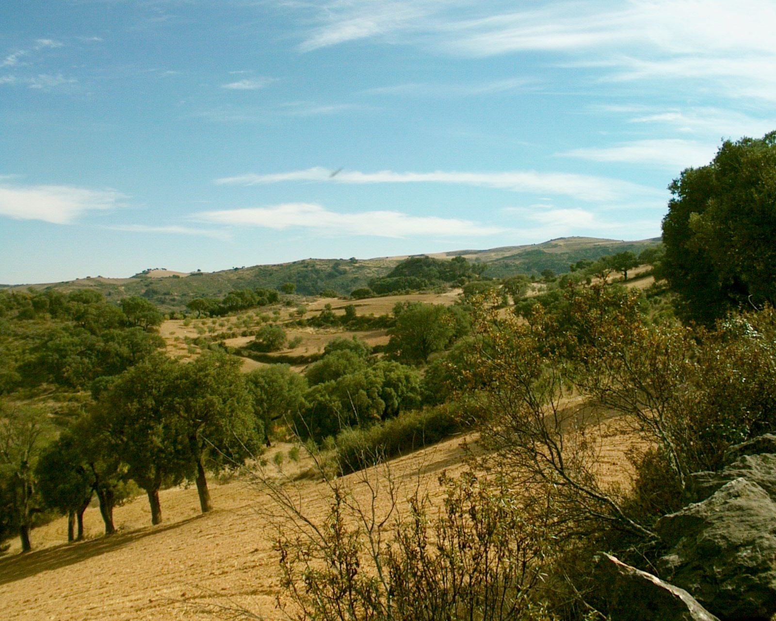 [IM006890.JPG]