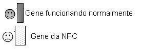 Niemann Pick Brasil: 23 de julho de 2010