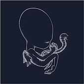 [sigurros.jpg]