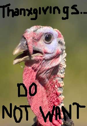 [turkey-lol.jpg]