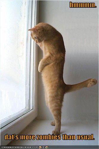 [lol_cats_zombies.jpg]