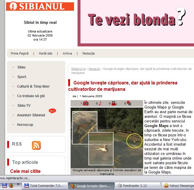 [sibianul-google.JPG]
