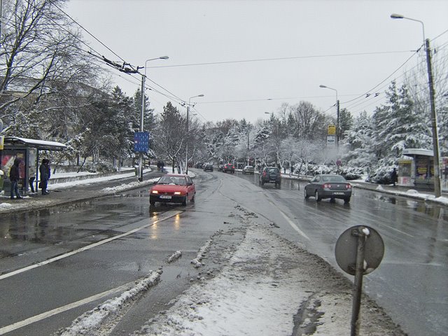 [20090213+-+145130.jpg]