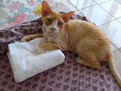 Forever our special friend Miss Peach!