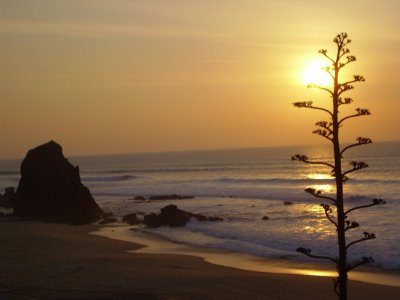 [Santa+Cruz.JPG]