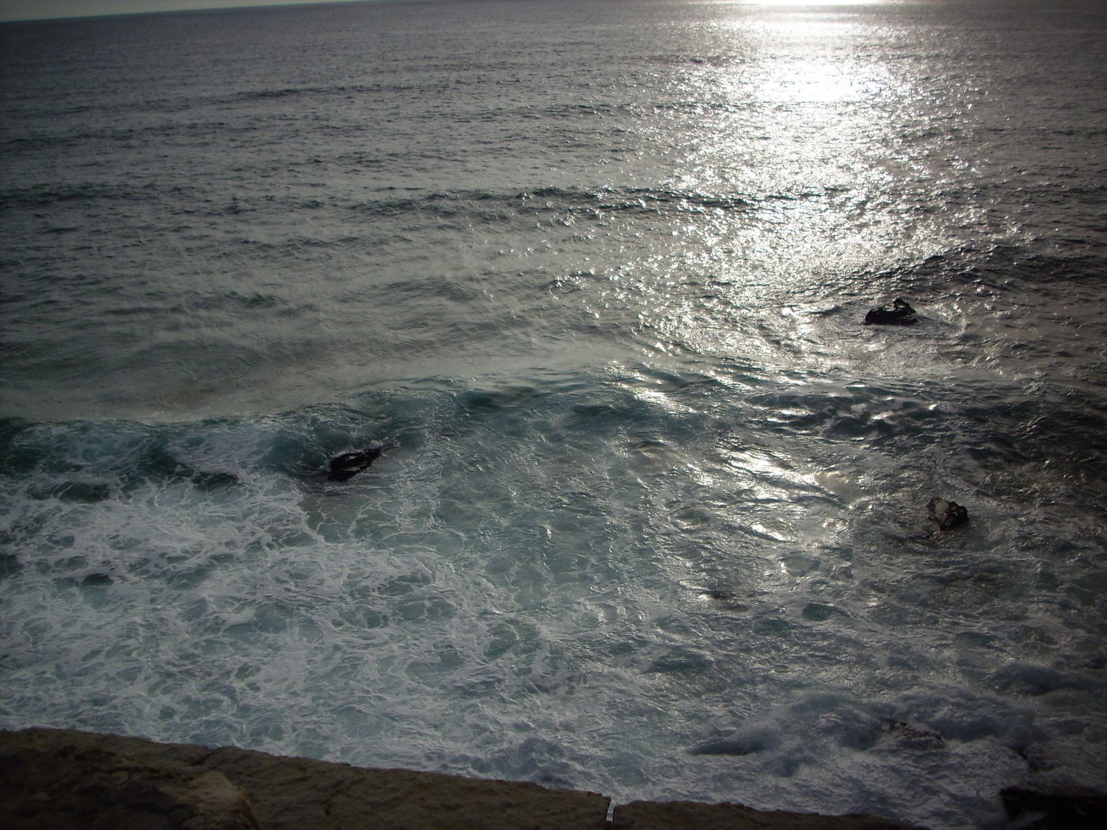 [IMG_0541.JPG]