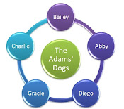 The Adams' Dogs