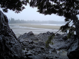 Tofino Beach