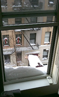 The view of Snowmageddon from my apt window