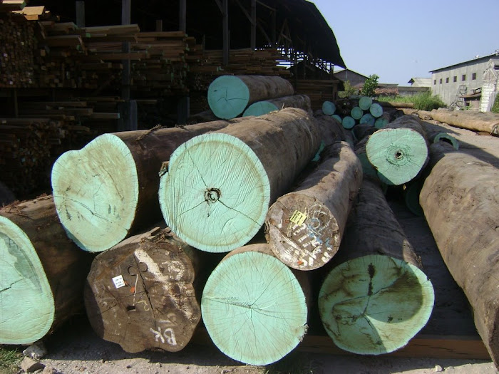 Artaniswood Logs