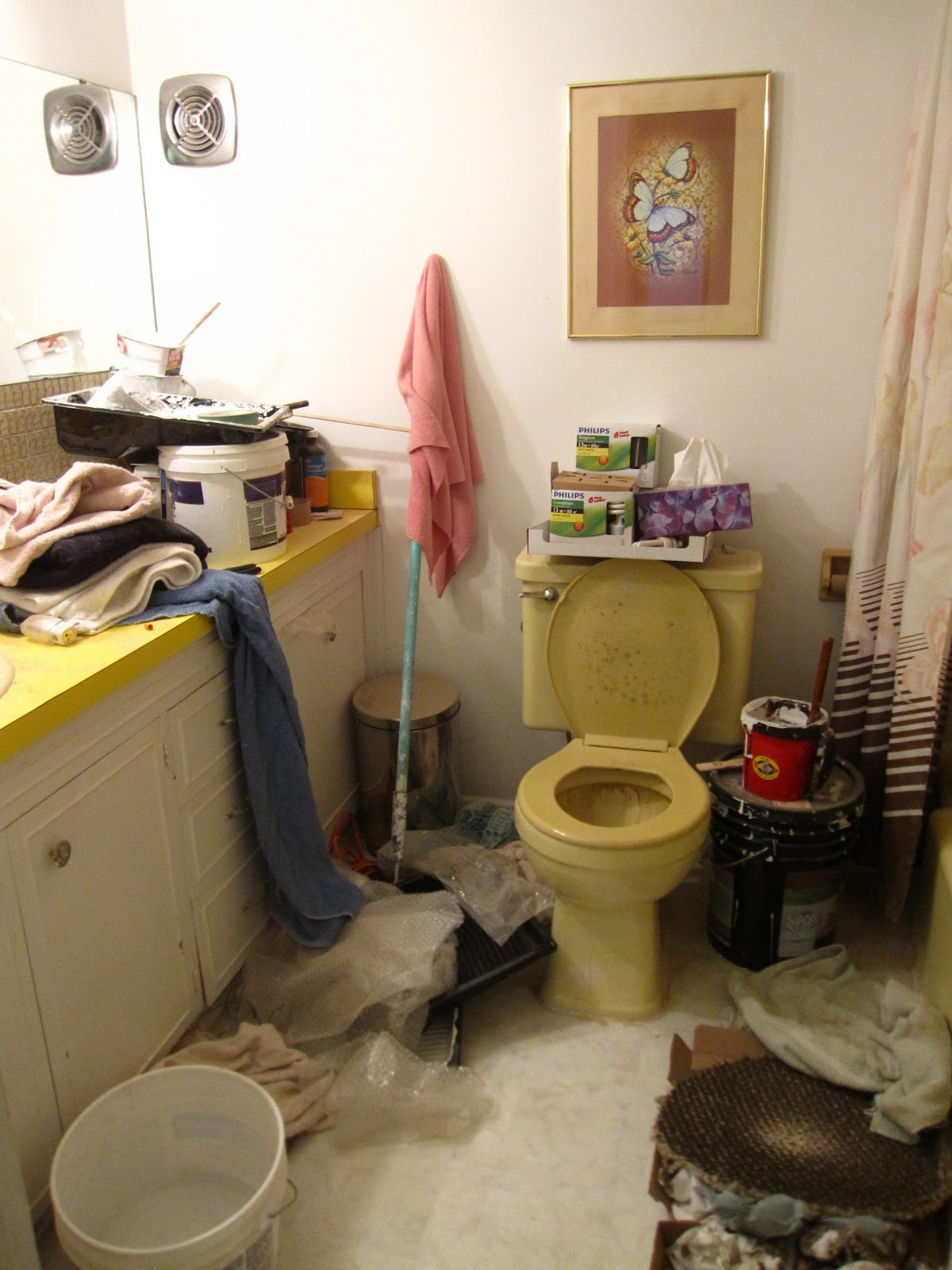 Enter The Crawlspace The Bathroom is Disgusting