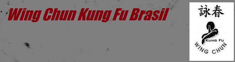 Wing Chun Kung Fu Brasil