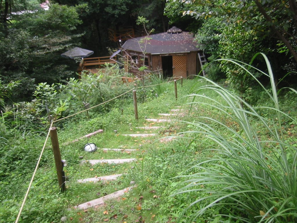 [IMG_0113.JPG]