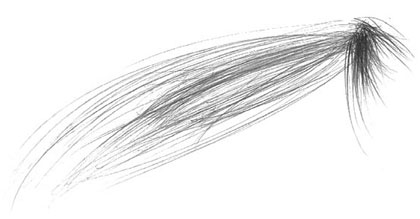 [cucumber+peeling+hand+movement.jpg]