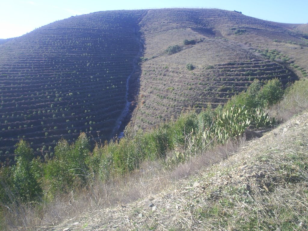 [S4010425.JPG]