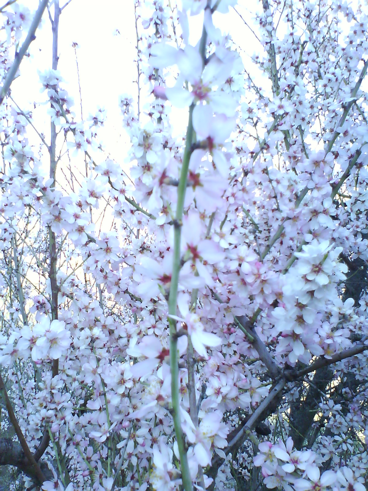 [DSC01104.JPG]