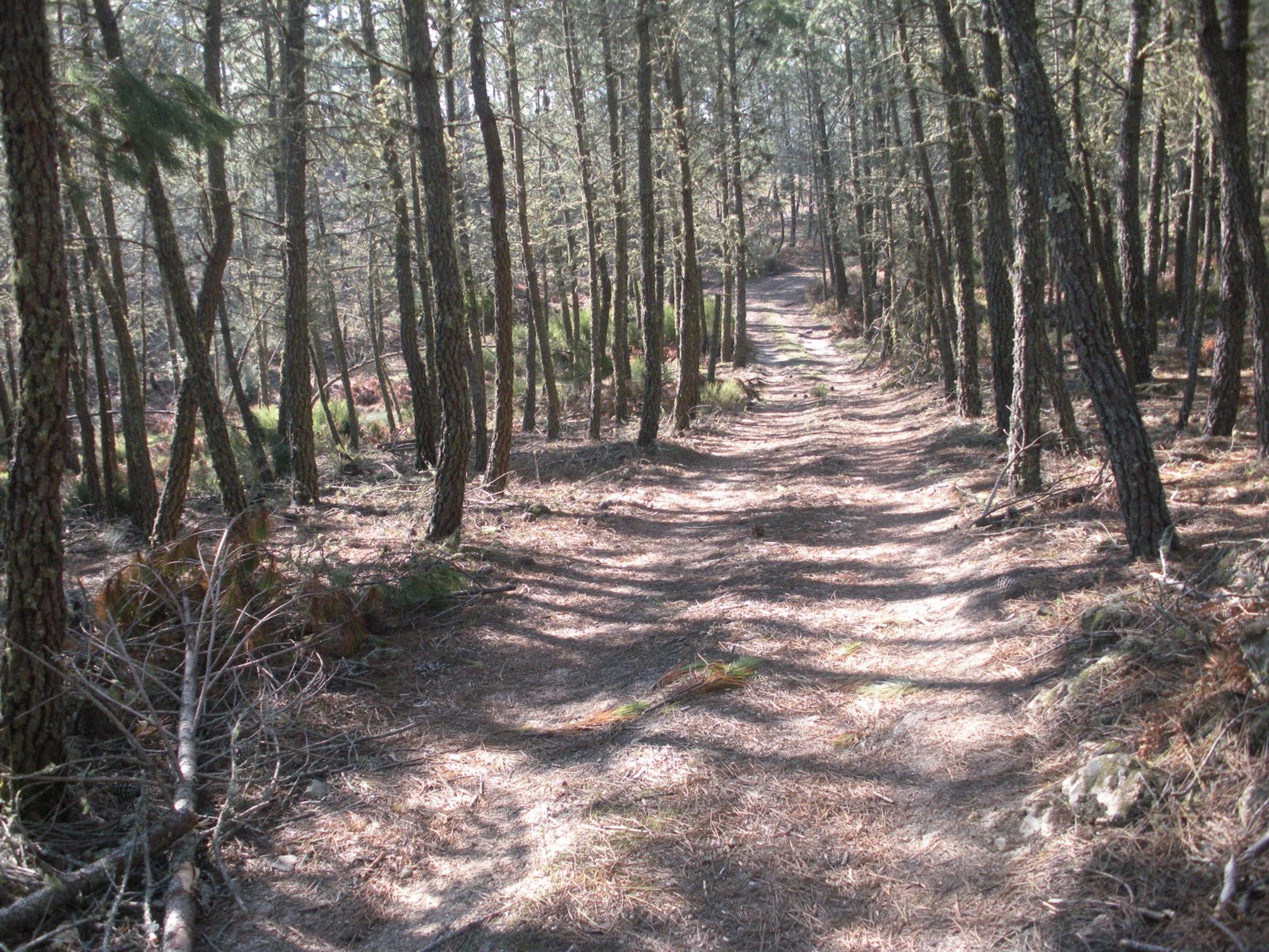 [DSCN3152.JPG]