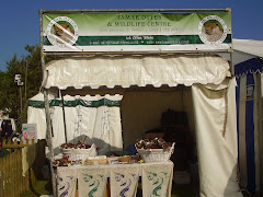 Royal Cornwall Show