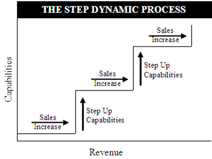 [Step+Dynamic+Process.jpg]