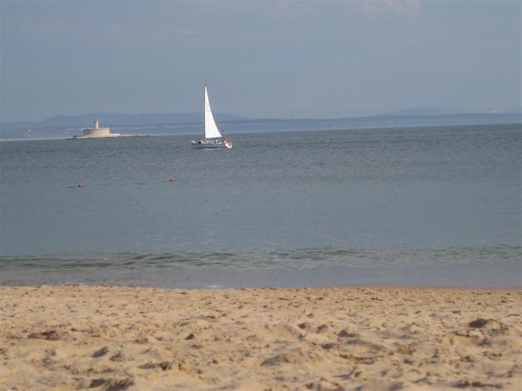 [Imagem+002+(Large).jpg]