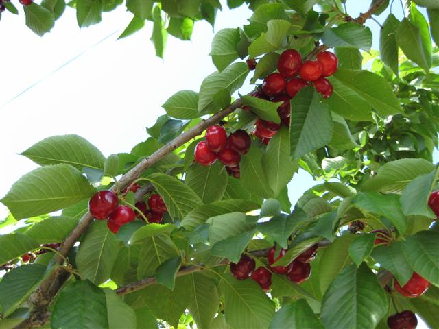 [Imagem+060+(Small).jpg]