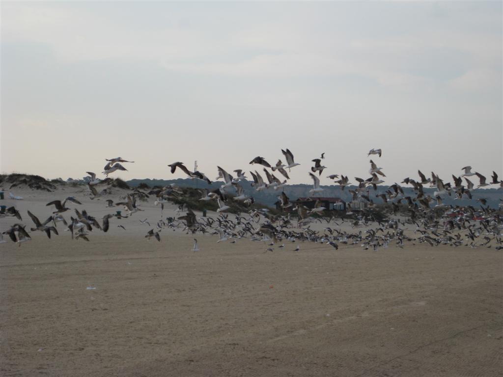 [2-Imagem+033+(Large).jpg]