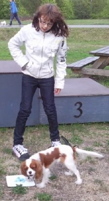 [Foto0397a.jpg]