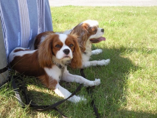 [Foto0571.jpg]