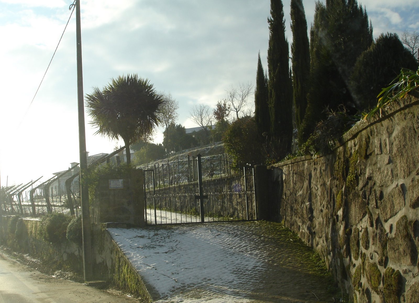 [DSC00570.JPG]