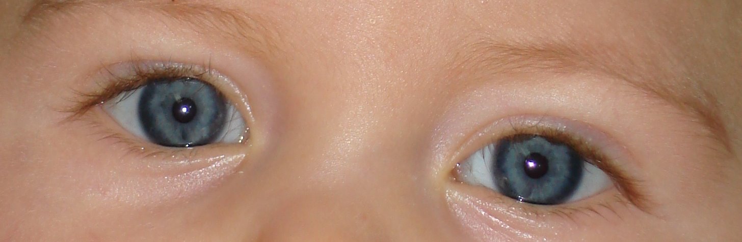 [olhos+do+Pedro.JPG]