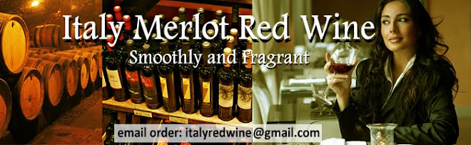 Frino Emilia Merlot 2004 Classico~Origin Red Wine From Italy~