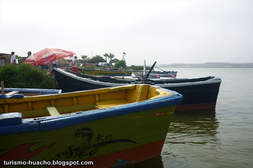 albufera medio mundo