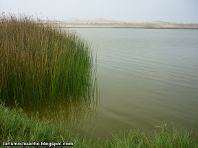 Lugares turisticos de Huaura Albufera Medio Mundo