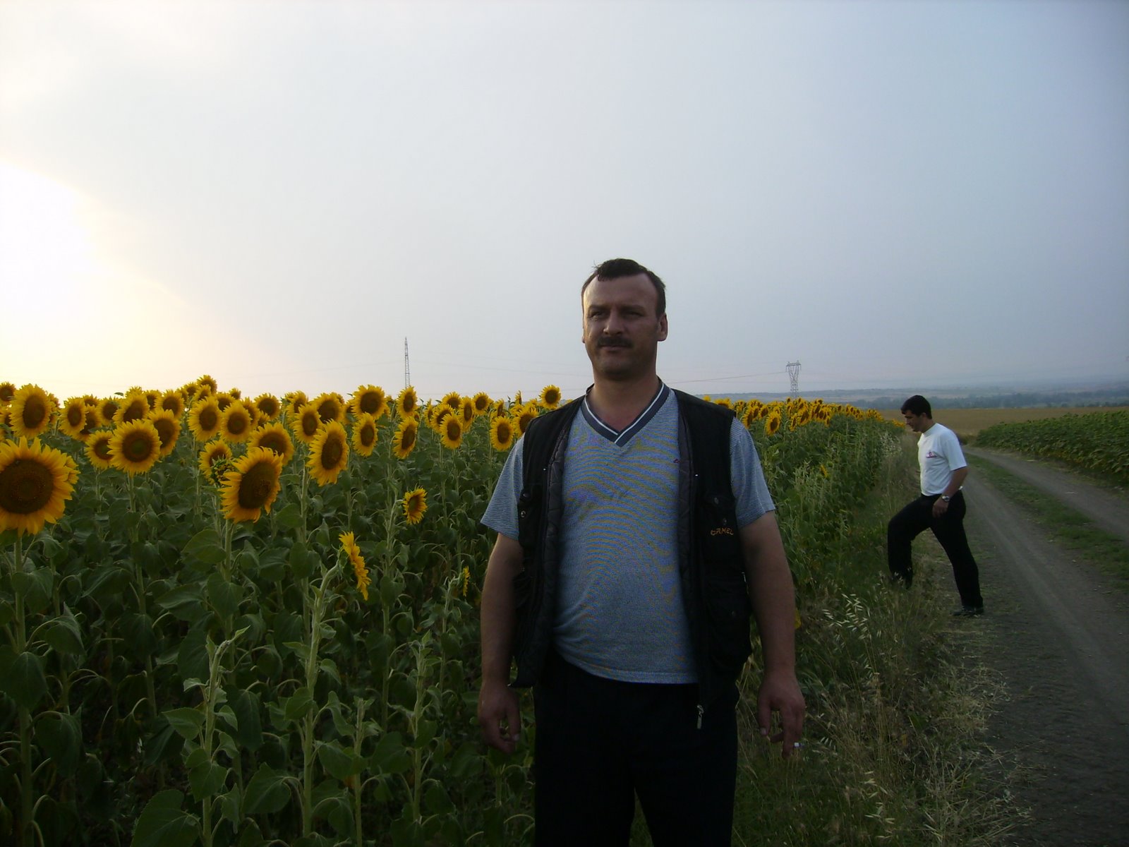[P7020177.JPG]